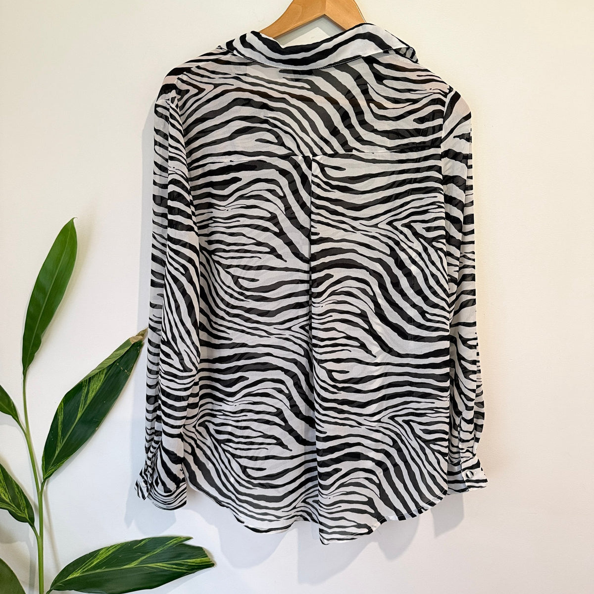 Princess Polly Zebra Print Sheer Button Up Shirt Size 12