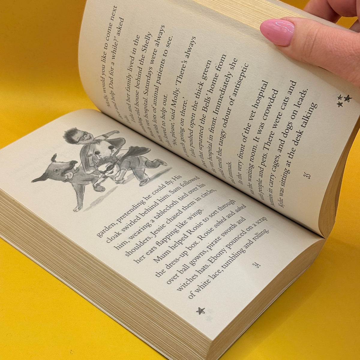 Lulu Bell’s Amazing Animal Adventures by Belinda Murrell