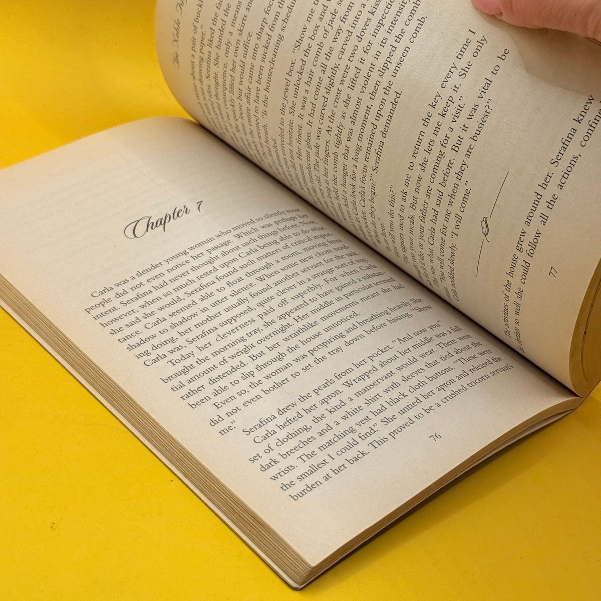 The Noble Fugitive by T. Davis Bunn and Isabella Bunn