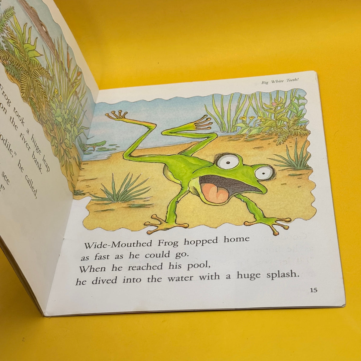 Wide-Mouthed Frog by Dawn McMillan