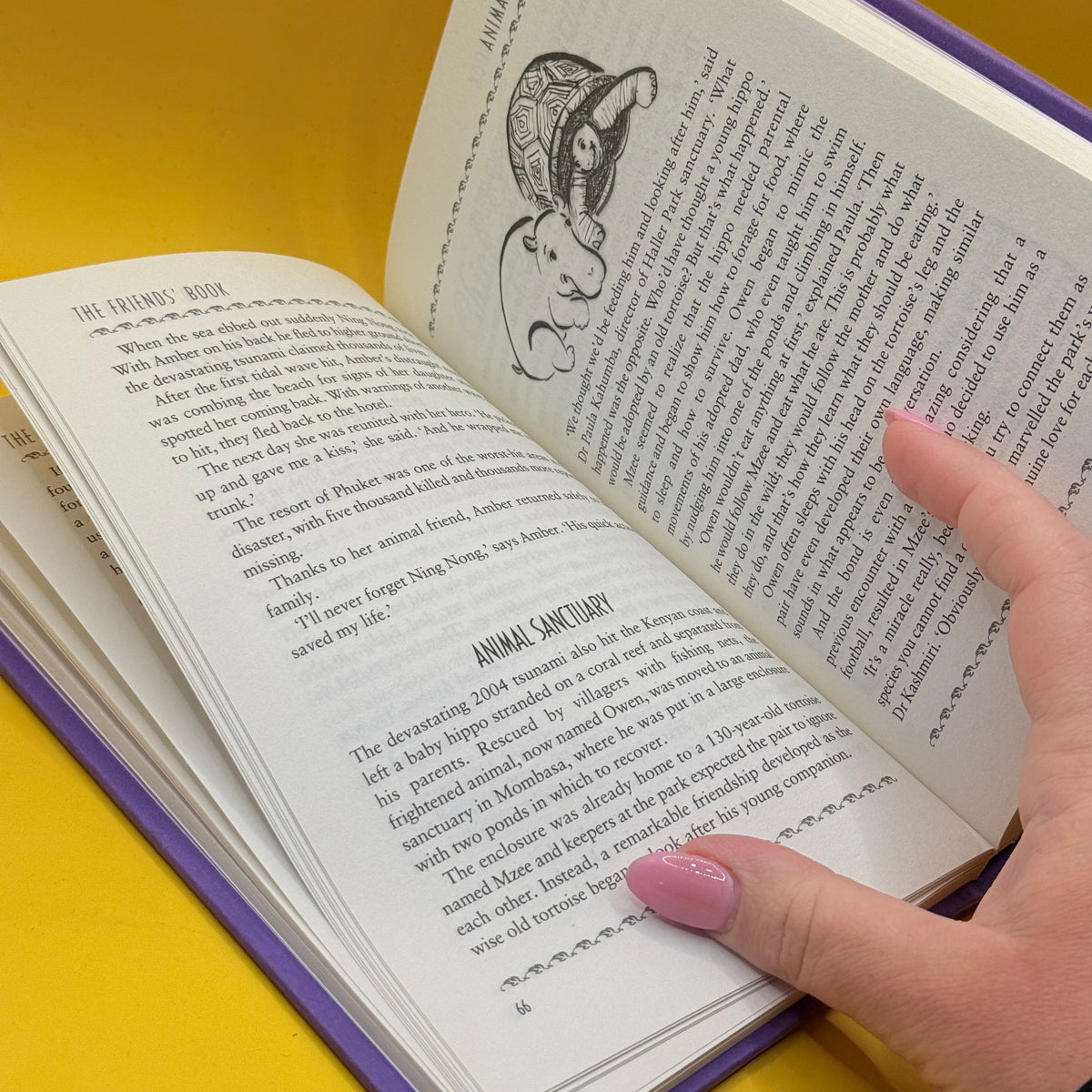 The Friends’ Book: For the Friend Who’s Best at Everything by Alison Maloney