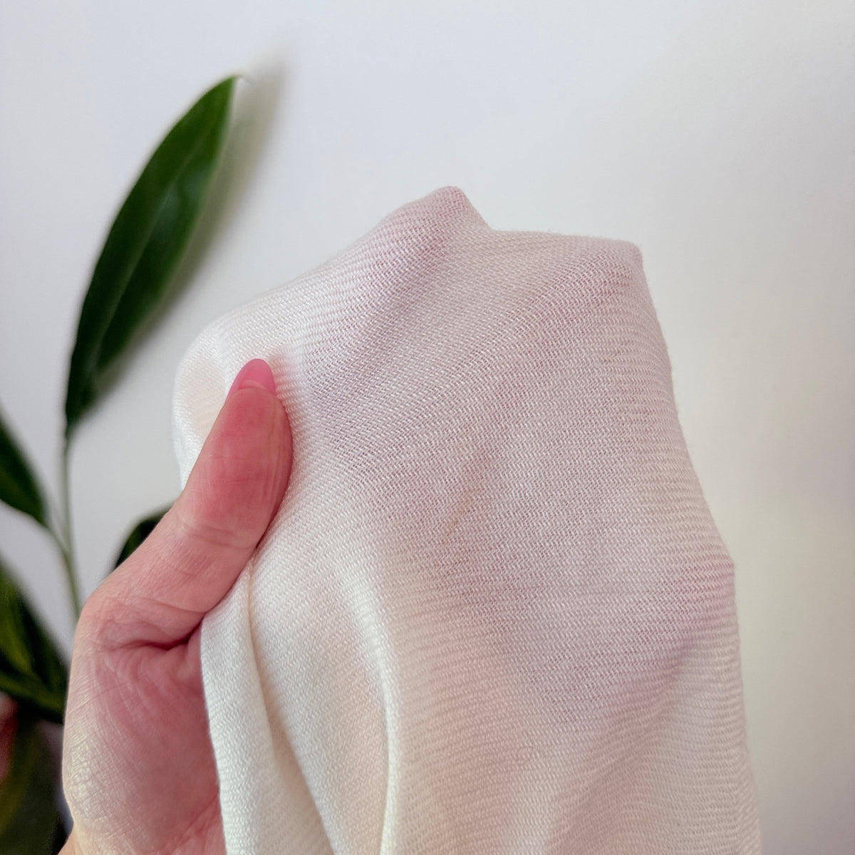 Fringed Scarf