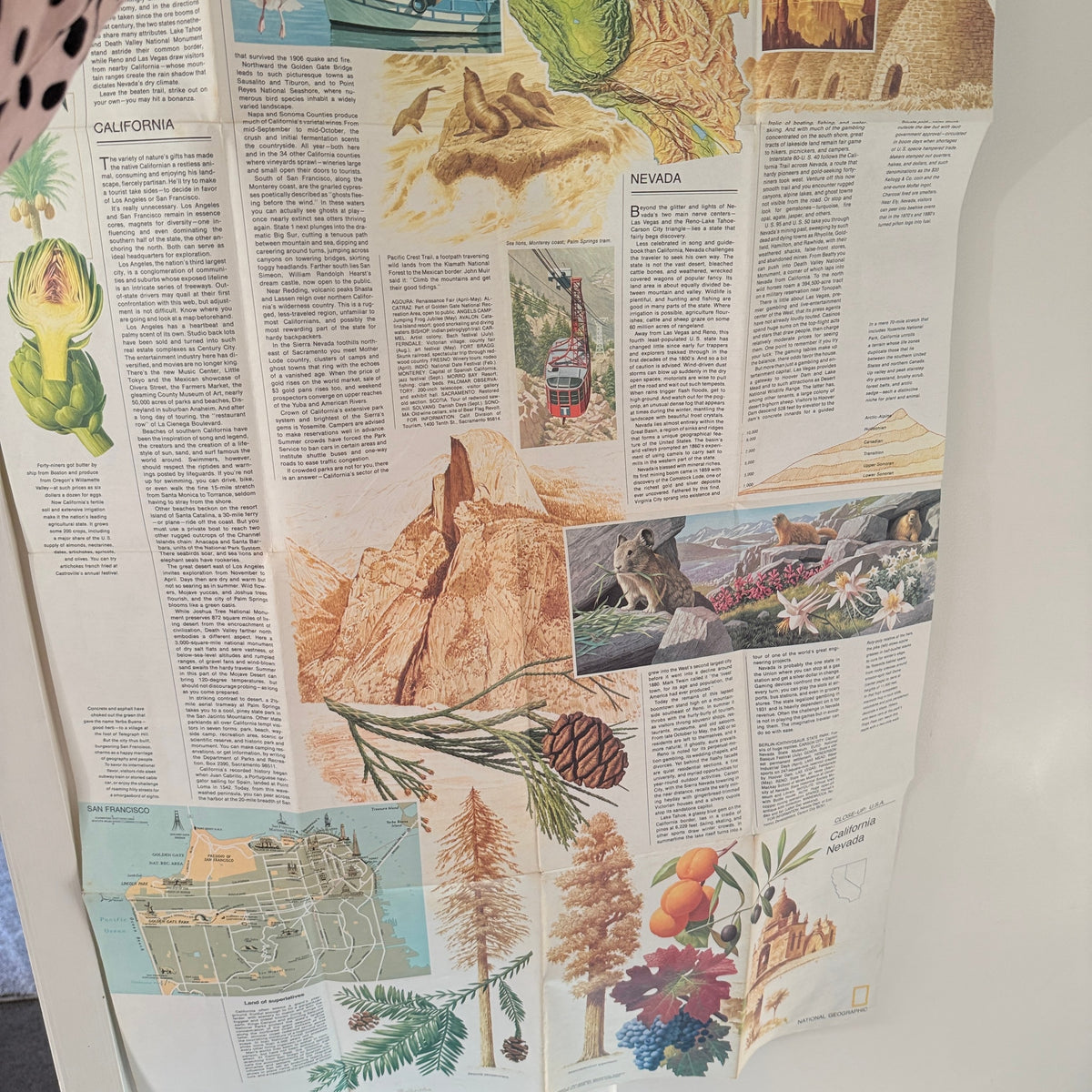 Close-up: U.S.A.: California and Nevada Map by National Geographic Society (1974)