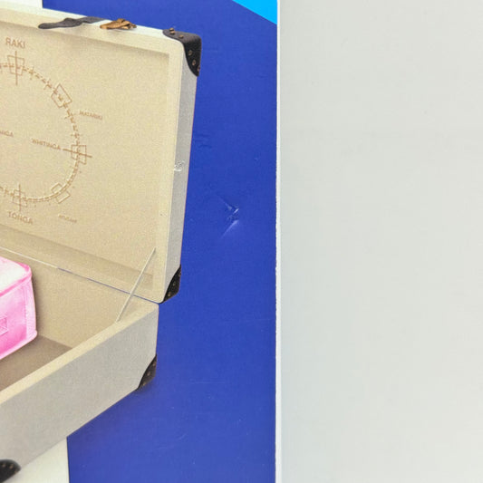 The Leader's Suitcase by Carolyn Stuart