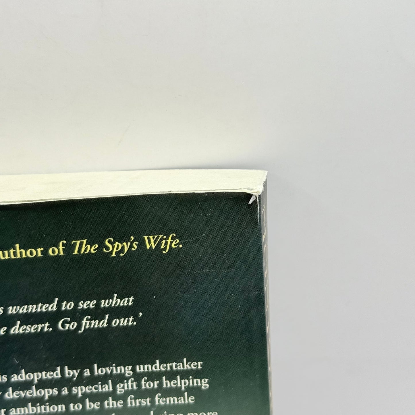 The Orphans by Fiona McIntosh