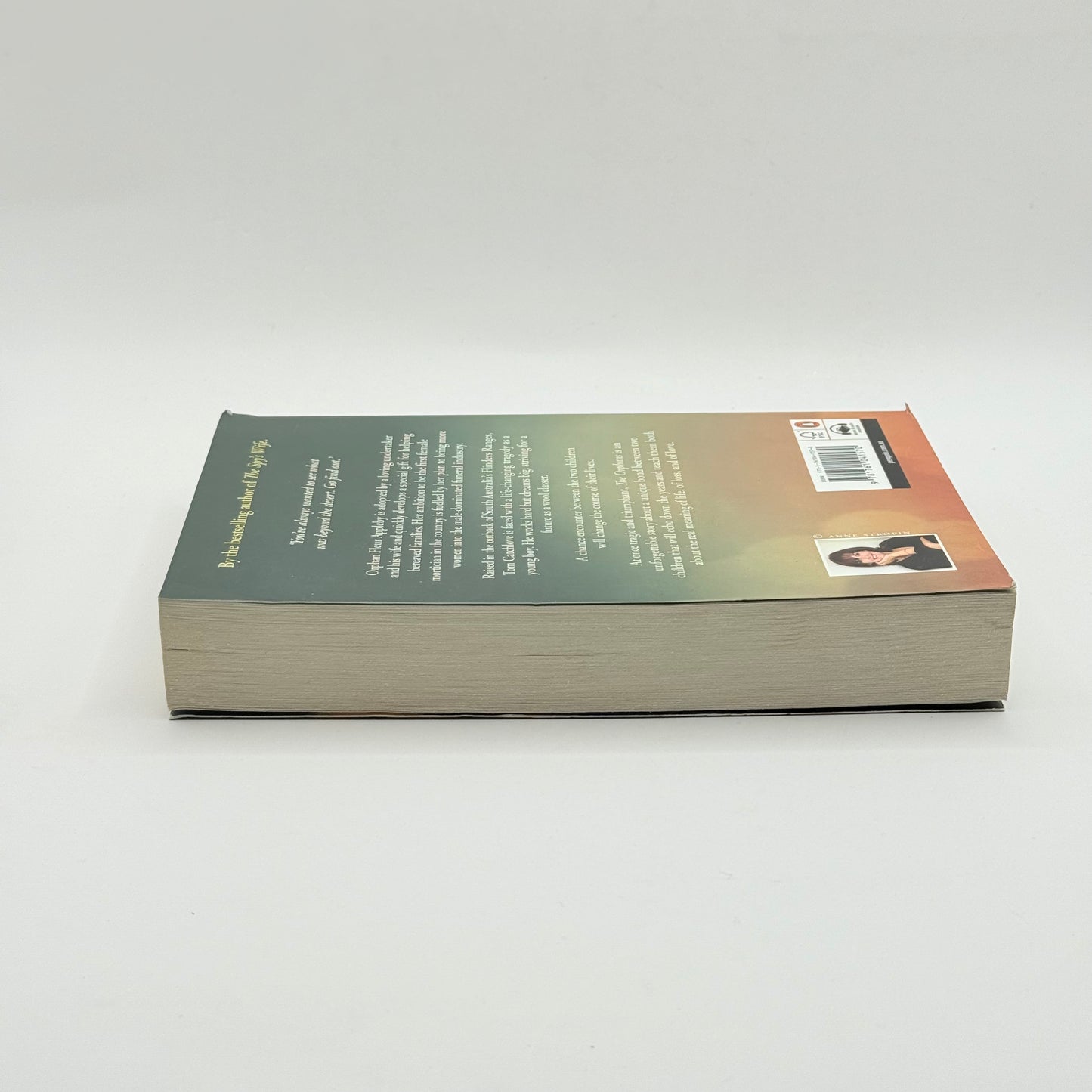 The Orphans by Fiona McIntosh