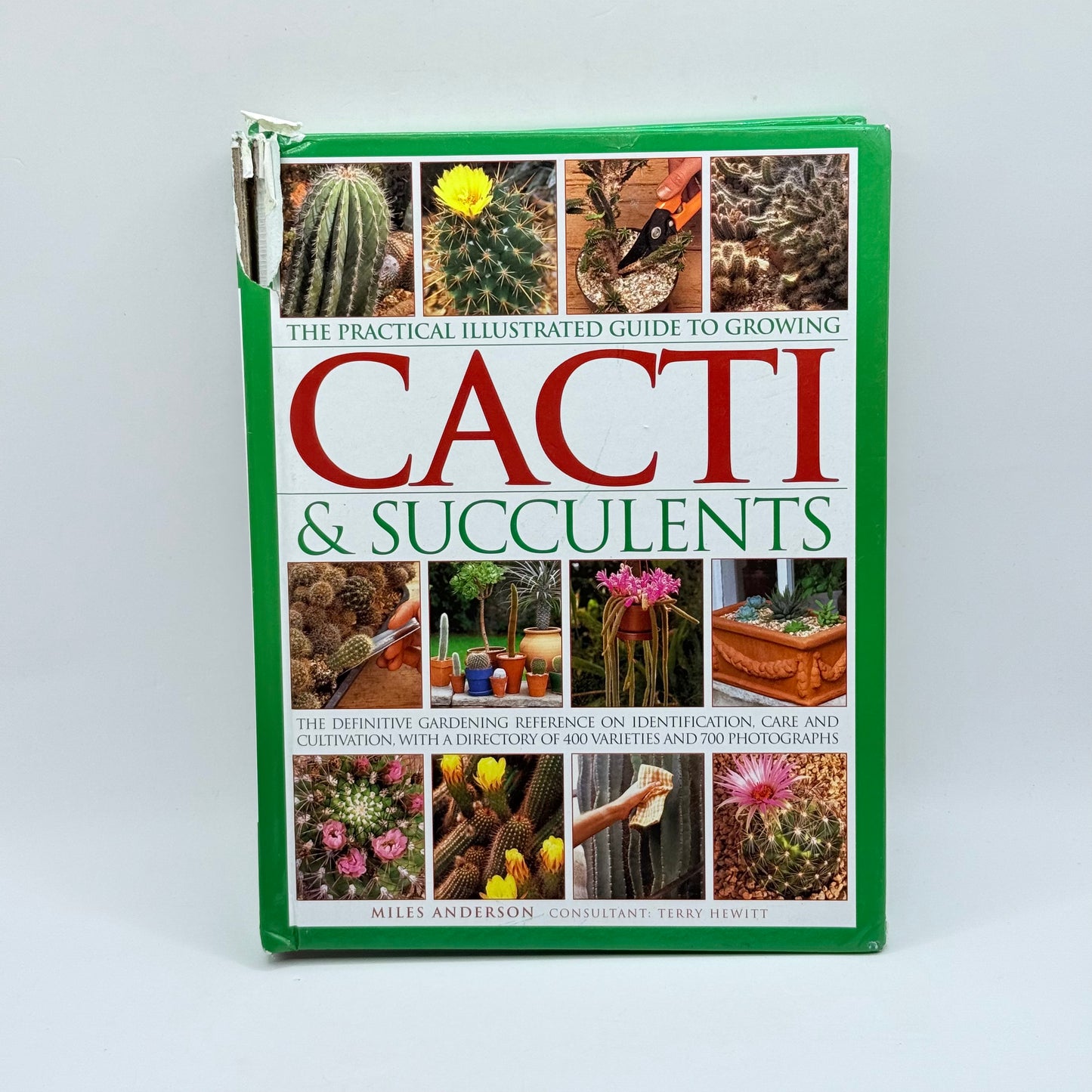 The Practical Illustrated Guide to Growing Cacti & Succulents by Miles Anderson