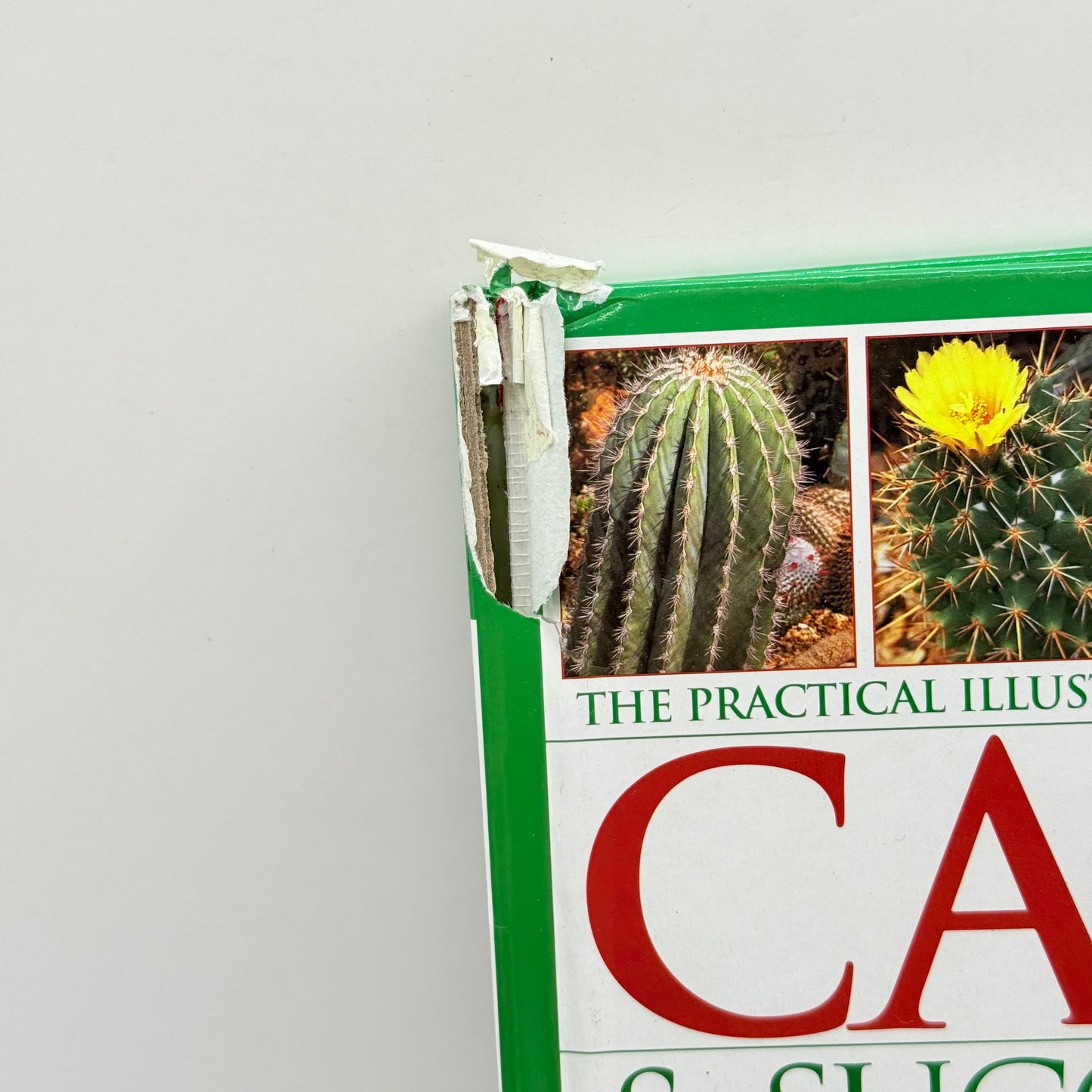 The Practical Illustrated Guide to Growing Cacti & Succulents by Miles Anderson