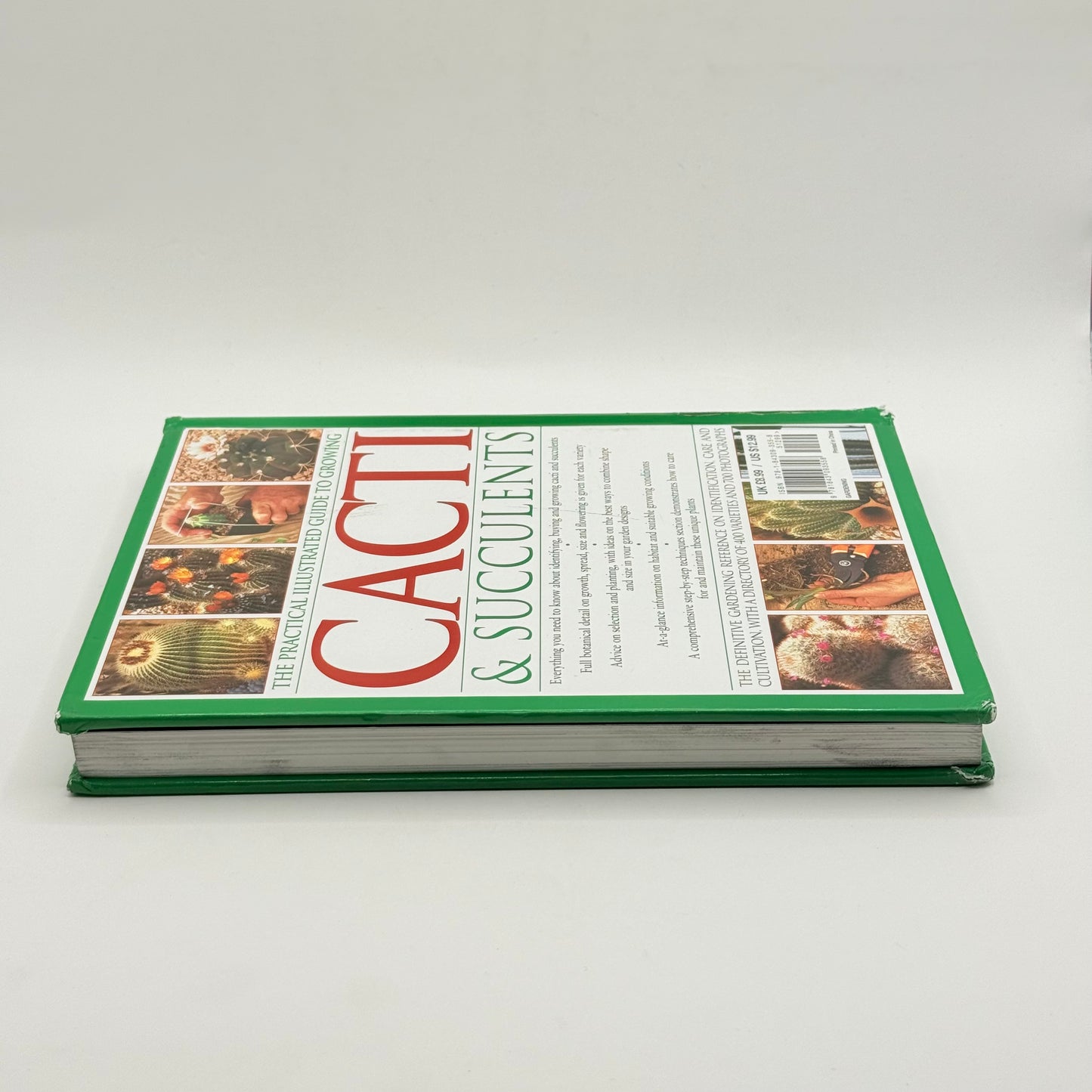 The Practical Illustrated Guide to Growing Cacti & Succulents by Miles Anderson