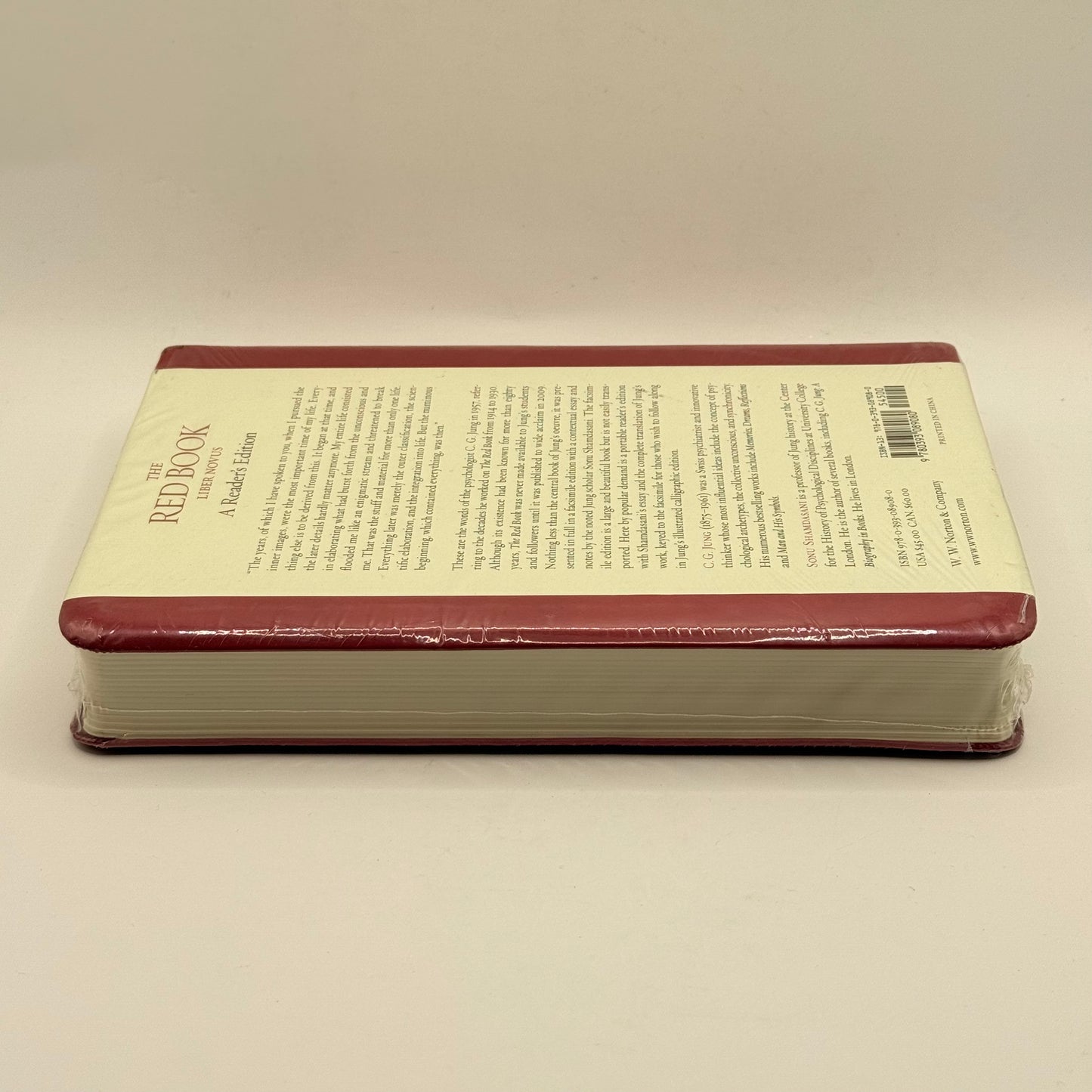 The Red Book Liber Novus - A Reader's Edition by C.G. Jung