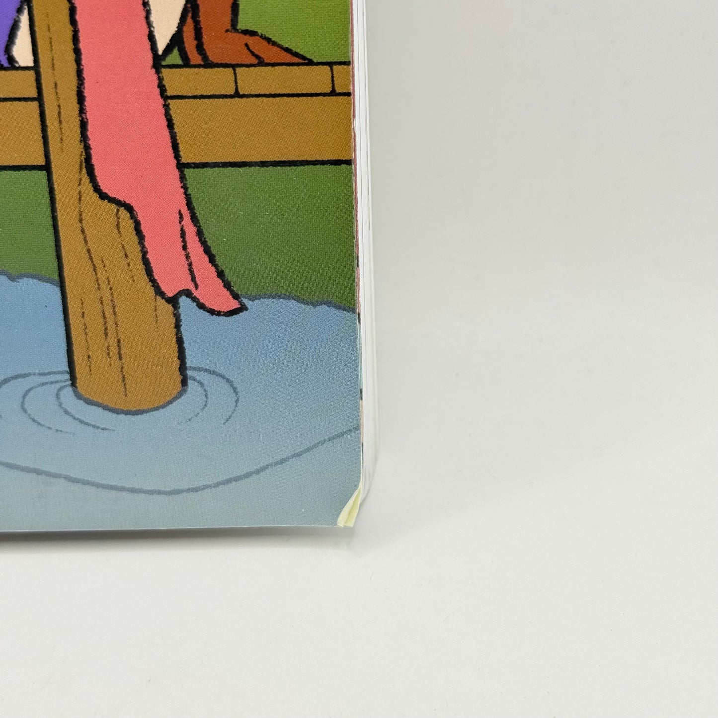 The Ribbon Skirt: A Graphic Novel by Cameron Mukwa