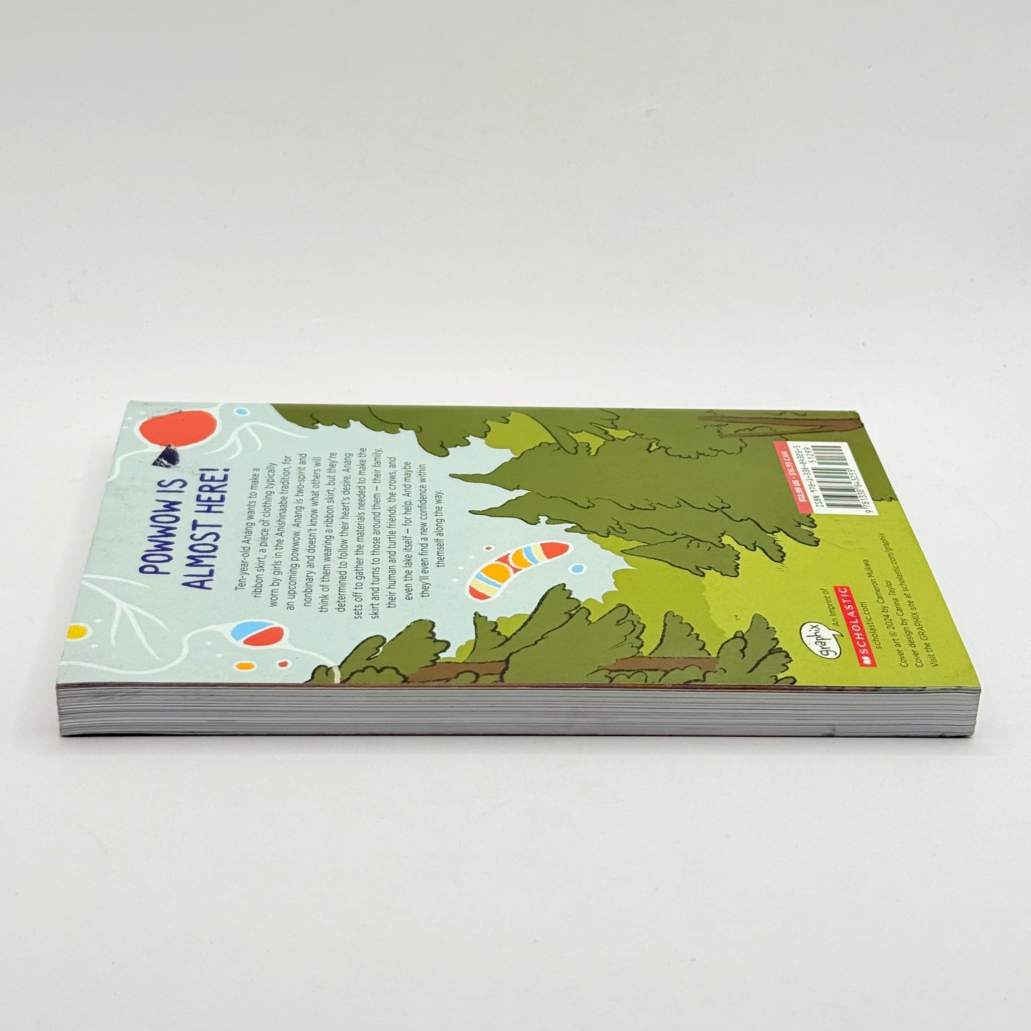 The ribbon skirt by cameron mukwa - print books condition: used - what’s new printed media
