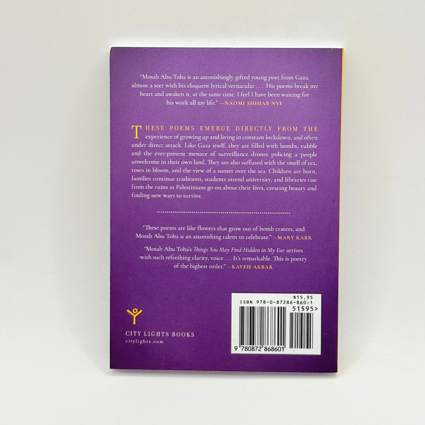 Things You May Find Hidden in My Ear by Mosab Abu Toha