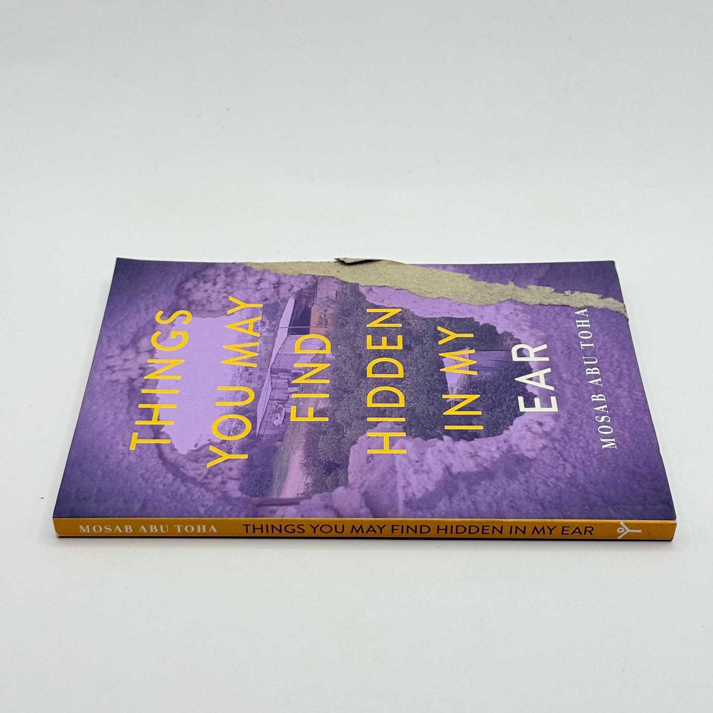 Things You May Find Hidden in My Ear by Mosab Abu Toha
