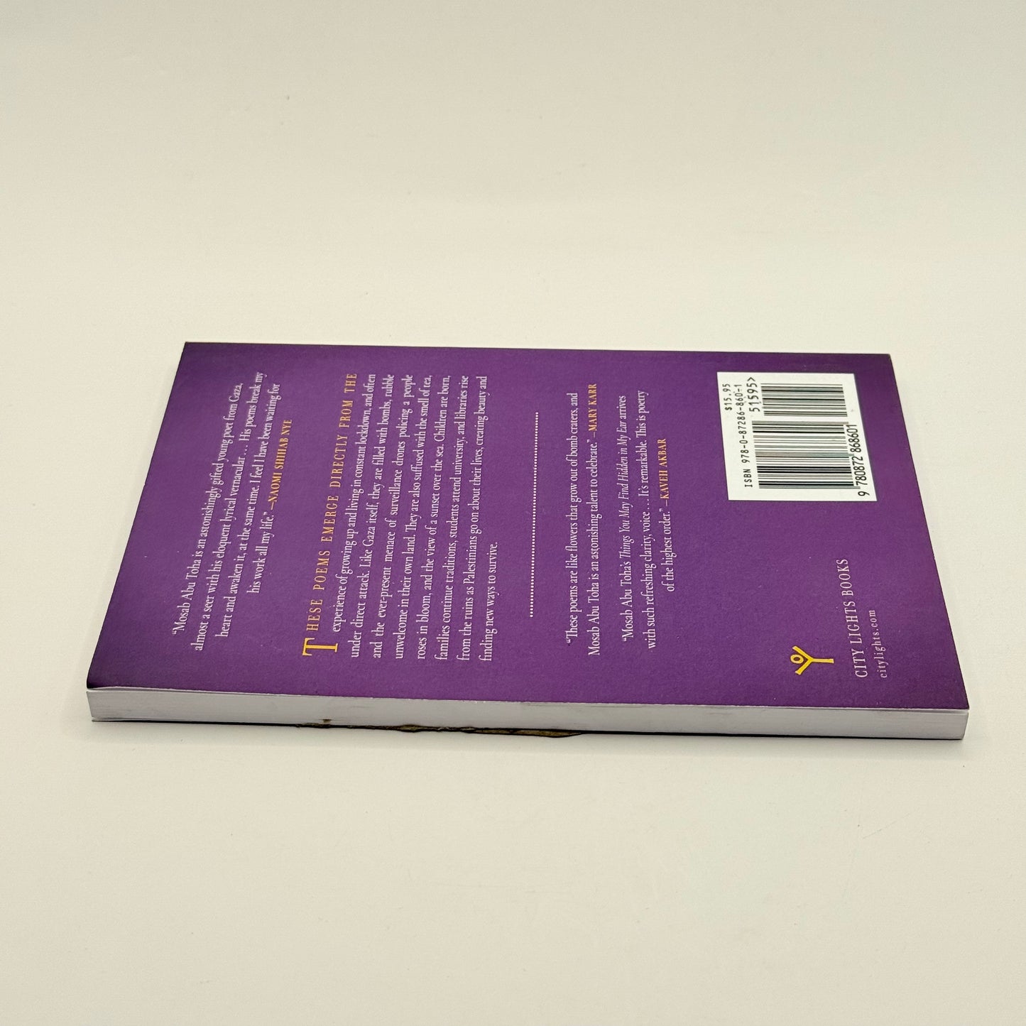 Things You May Find Hidden in My Ear by Mosab Abu Toha