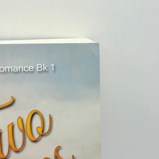 Two Chances by Gaylene Atkins