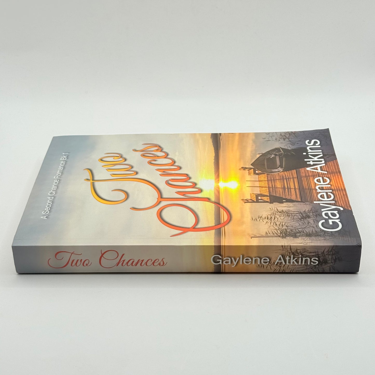Two Chances by Gaylene Atkins