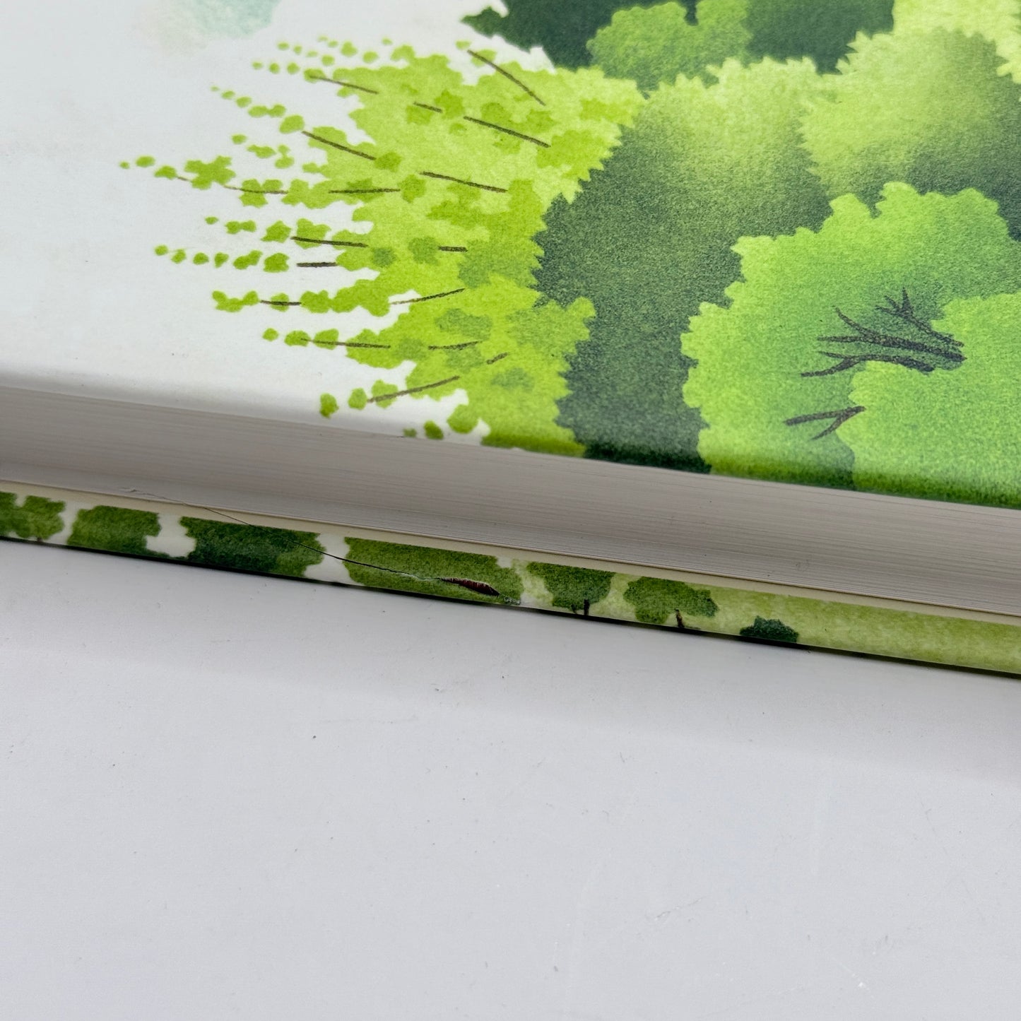 Where the Bright Waters Meet by Harry Plunket Greene