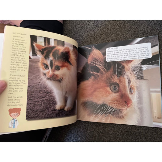 The journal of agent gina: phase two - print books book - fiction printed media