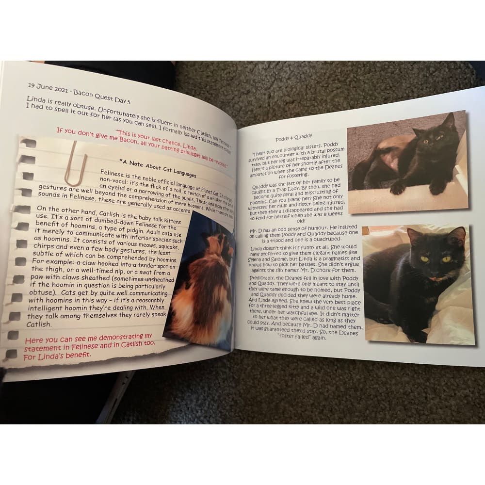 The journal of agent gina: phase one - print books book - cat - pet book