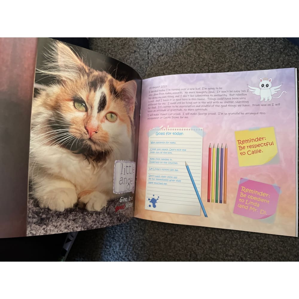 The journal of agent gina: phase three - print books book - cat - pet book
