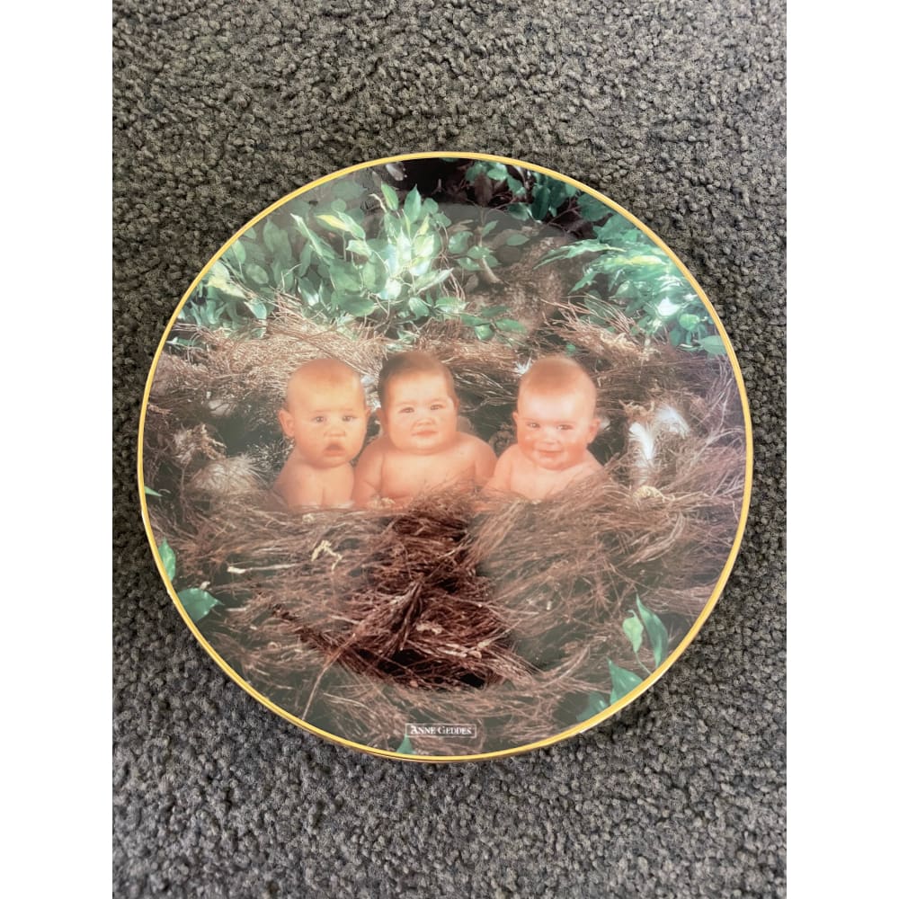 Anne geddes ābaby birdsā collector plate - 1995 limited edition - decorative plates habit product
