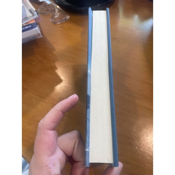 Mighty bad land - bruce luyendyk - print books book - condition: used - fiction printed media
