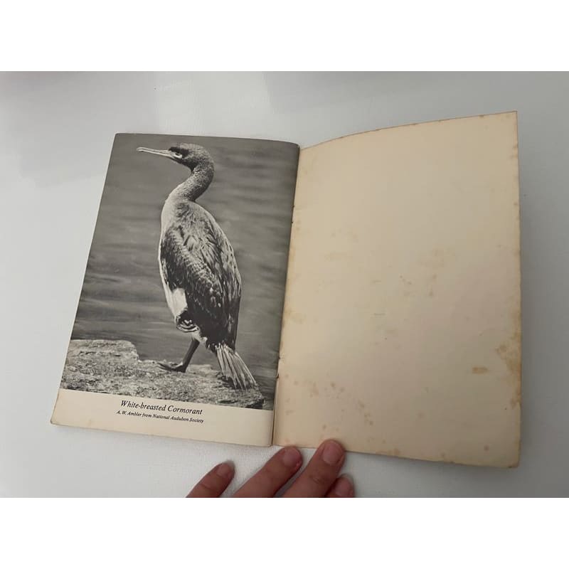 Vintage 1955 national audubon society nature program - water birds - print books book - condition: used - nature