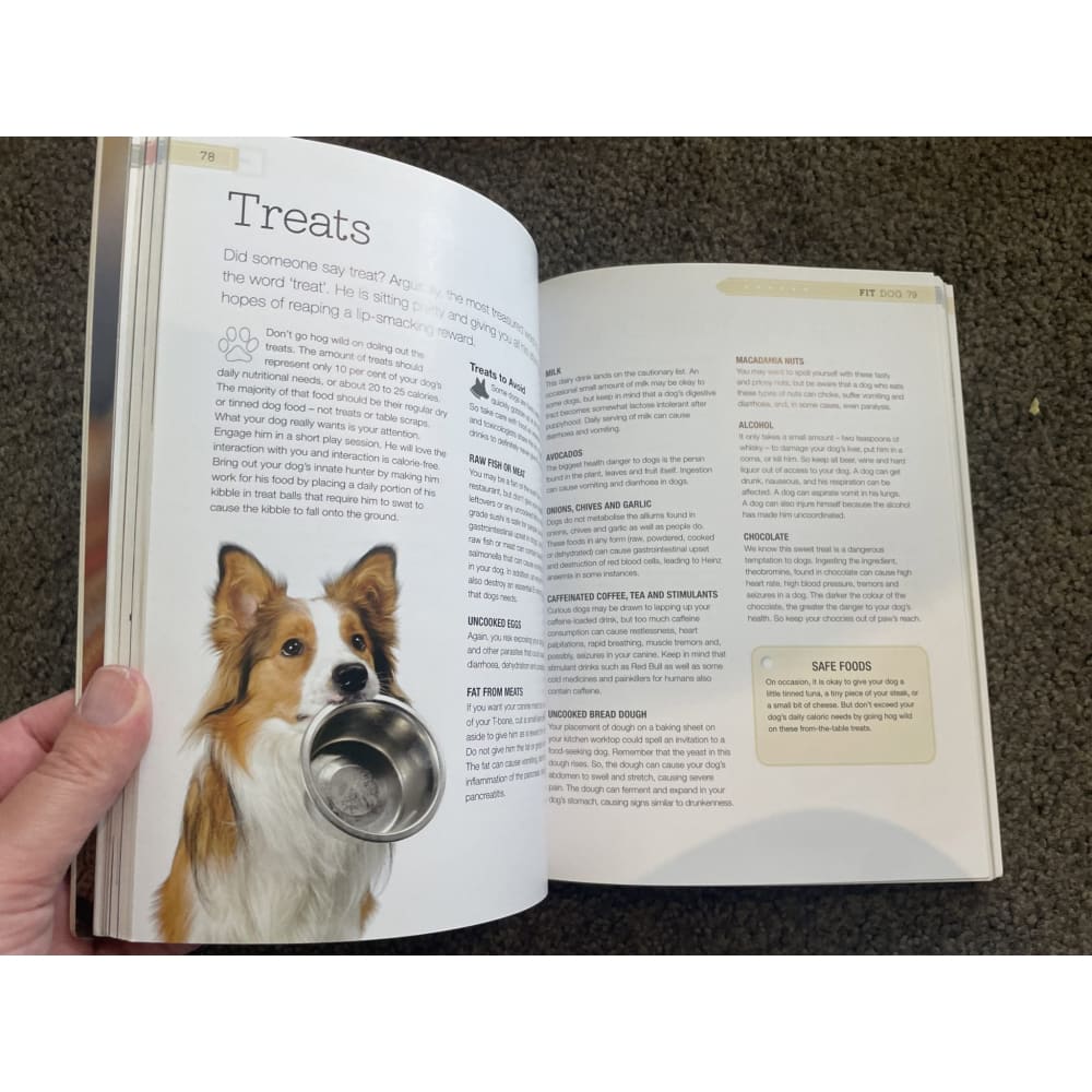 Fit dog: tips & tricks to give your dog a longer healthier happier life - print books book - condition: used