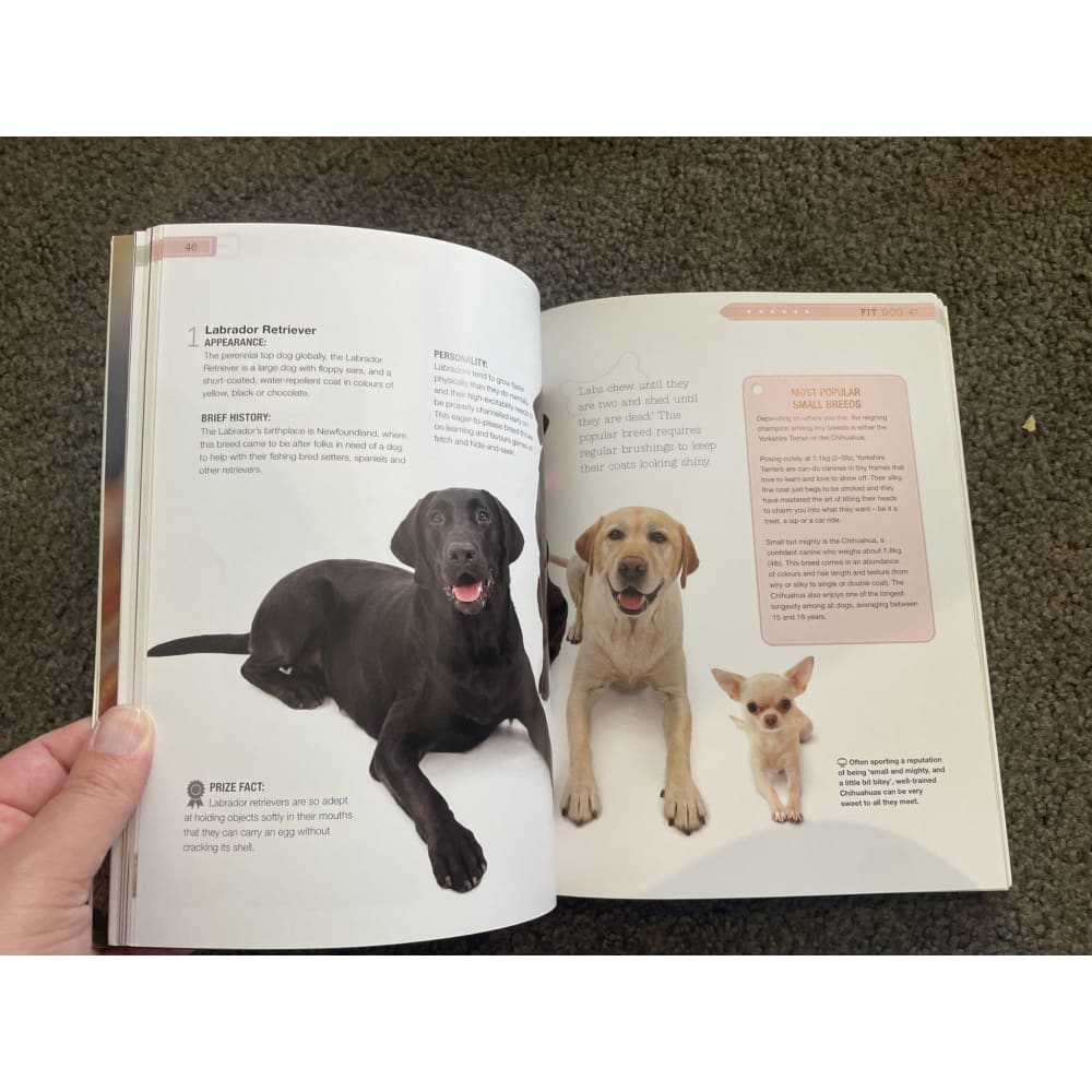 Fit dog: tips & tricks to give your dog a longer healthier happier life - print books book - condition: used
