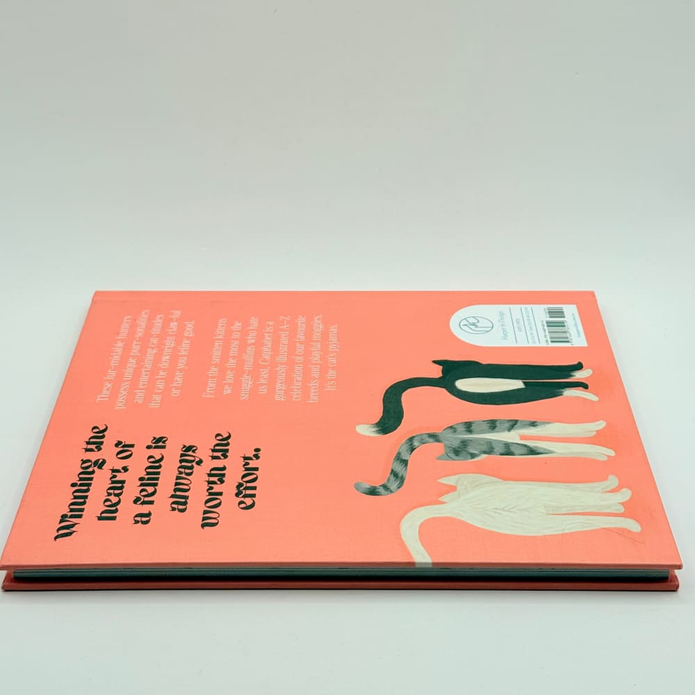 Catphabet a whimsical celebration of our favourite feline friends - print books what’s new printed media
