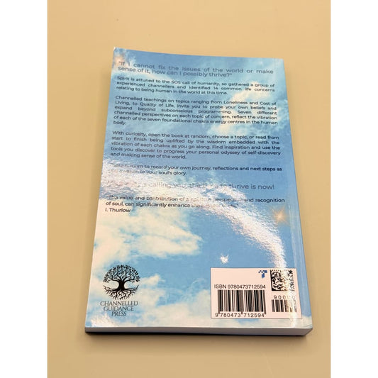 Channeled soul messages – guidance for thriving in today’s world – brand new with minor imperfections - print books