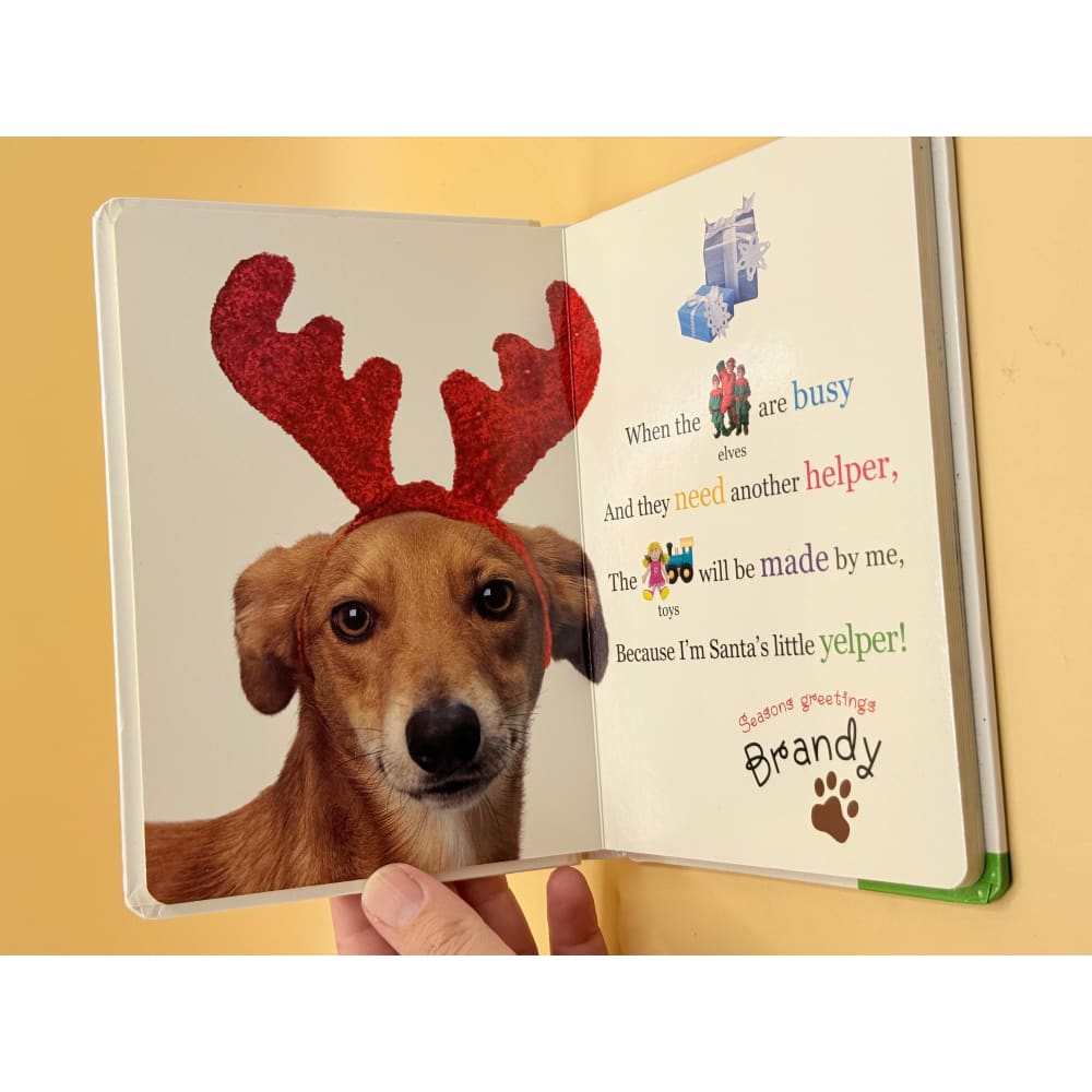 12 dogs for christmas: cute doggies and festive rhymes - books condition: used printed media