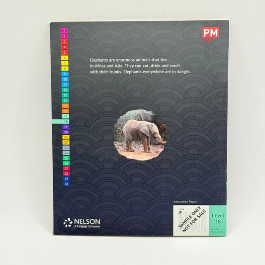 Elephants by beverley randell - print books what’s new printed media