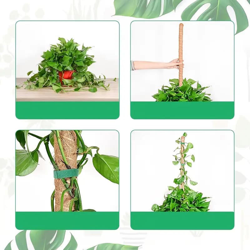 30cm plant pole - plant supports home&living materials
