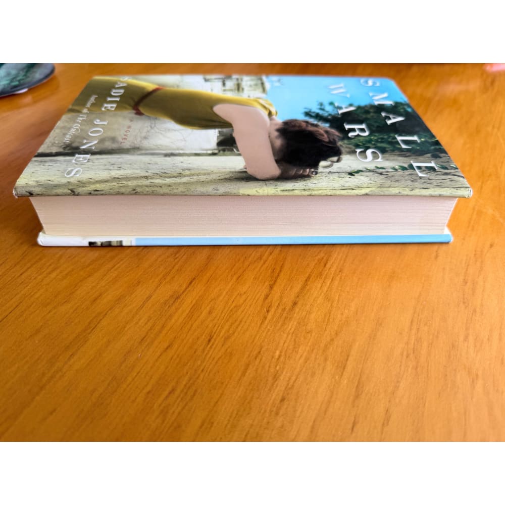 Small wars by sadie jones - print books condition: used printed media