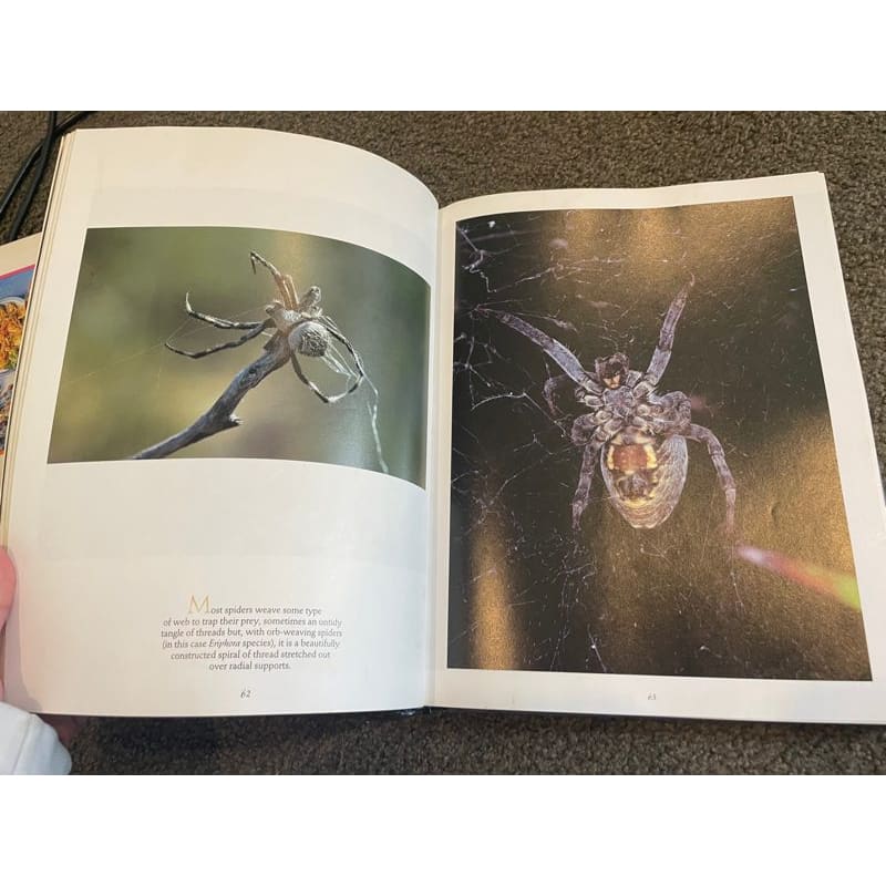 Small creatures of the australian wilderness - ure smith - print books book - nature printed media