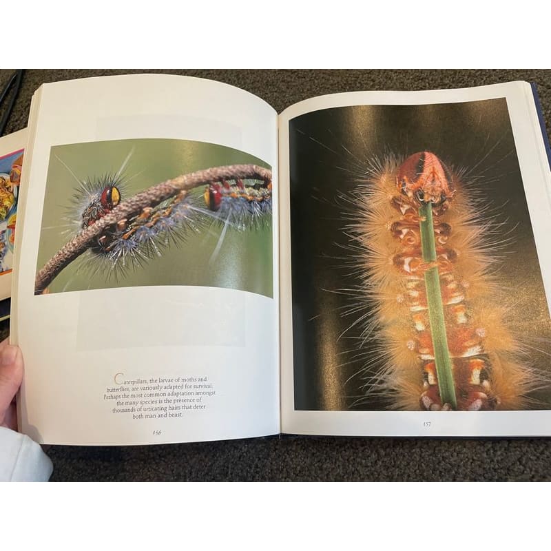 Small creatures of the australian wilderness - ure smith - print books book - nature printed media