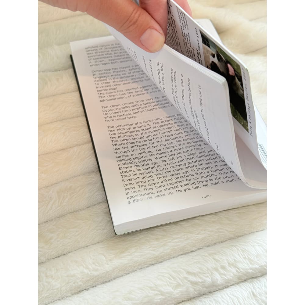 The tormentor (le gégèneur) by philippe gaulier (french) - print books printed media