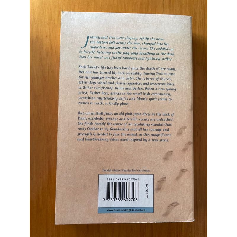 A swift pure cry - siobhan doud - print books book - condition: used - fiction - fiction book - literary fiction