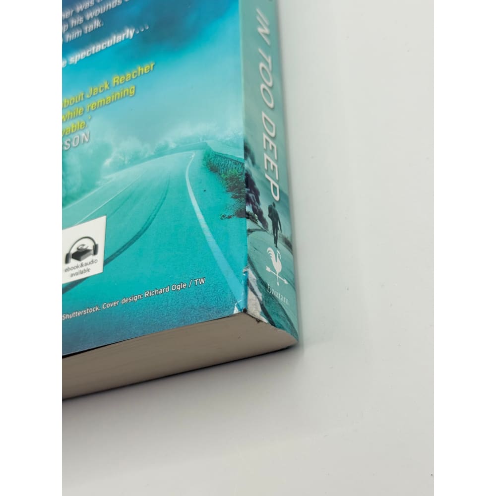In too deep by lee child and andrew child - print books printed media