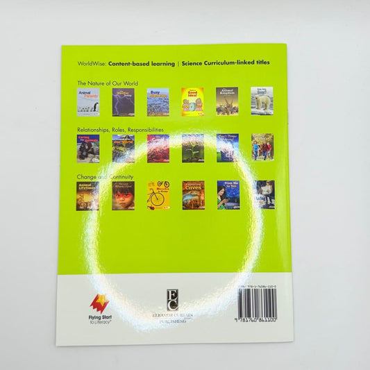 Looking after our world by dianne holliday - print books printed media