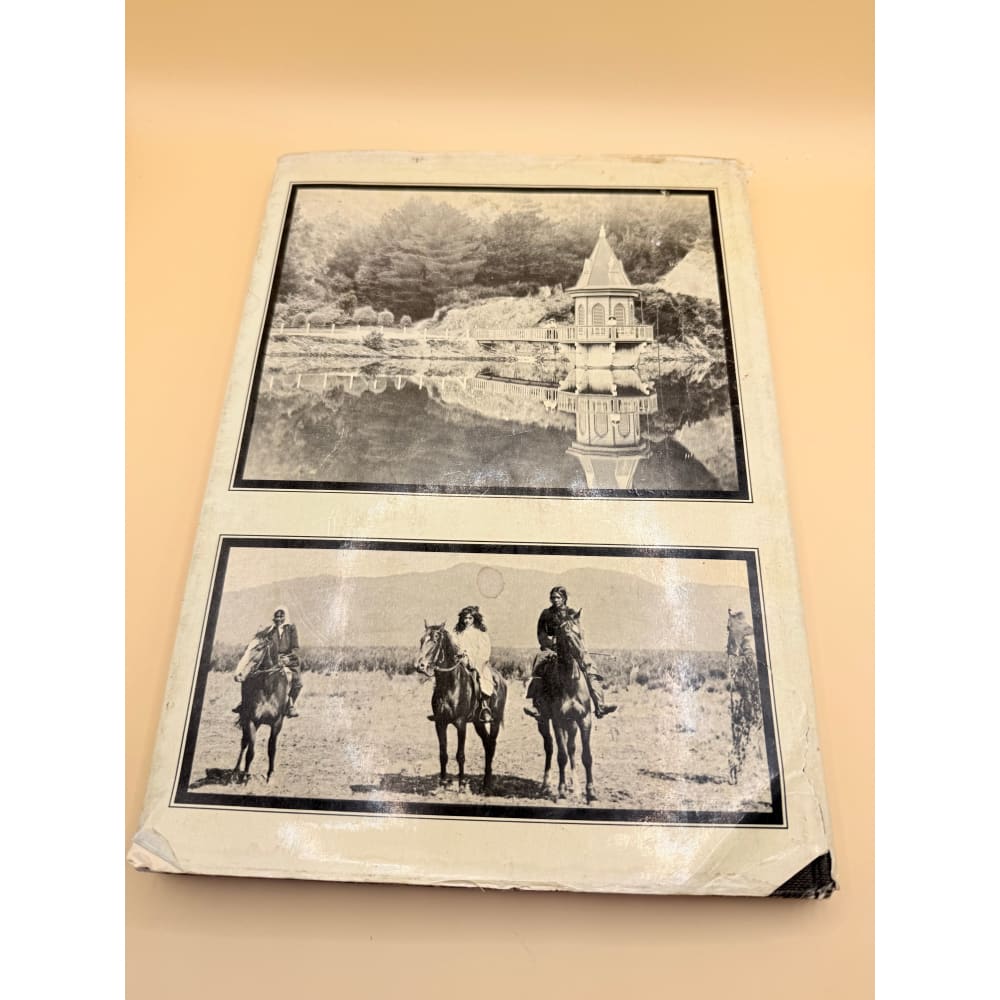 Katherine mansfield’s new zealand by vincent o’sullivan - print books condition: used printed media