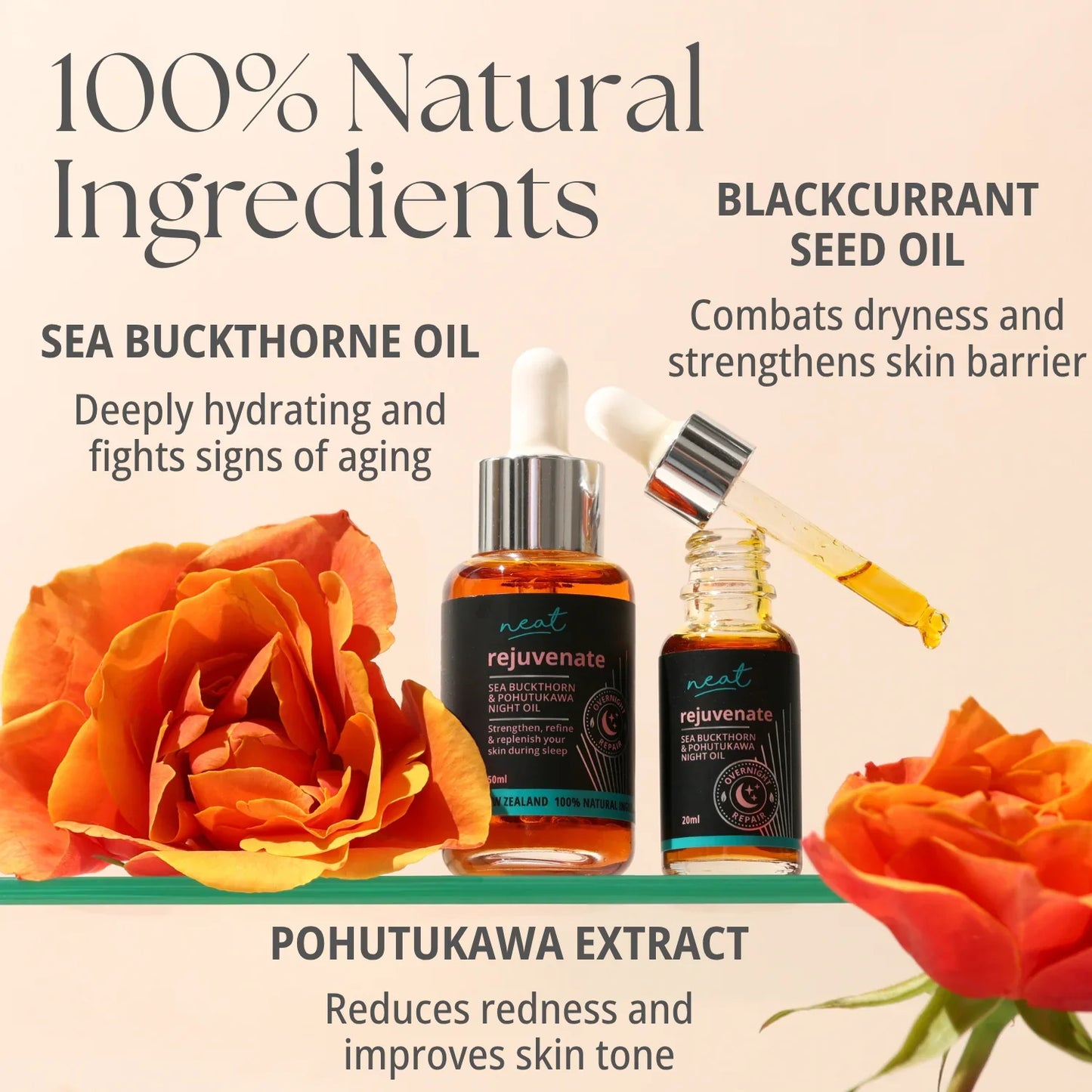 Neat rejuvenate pore refining night oil 20ml - face serums health and wellness