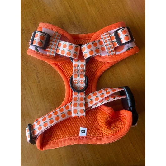 Kylomi orange paw print dog harness size xs - pet apparel pet apparel & accessories