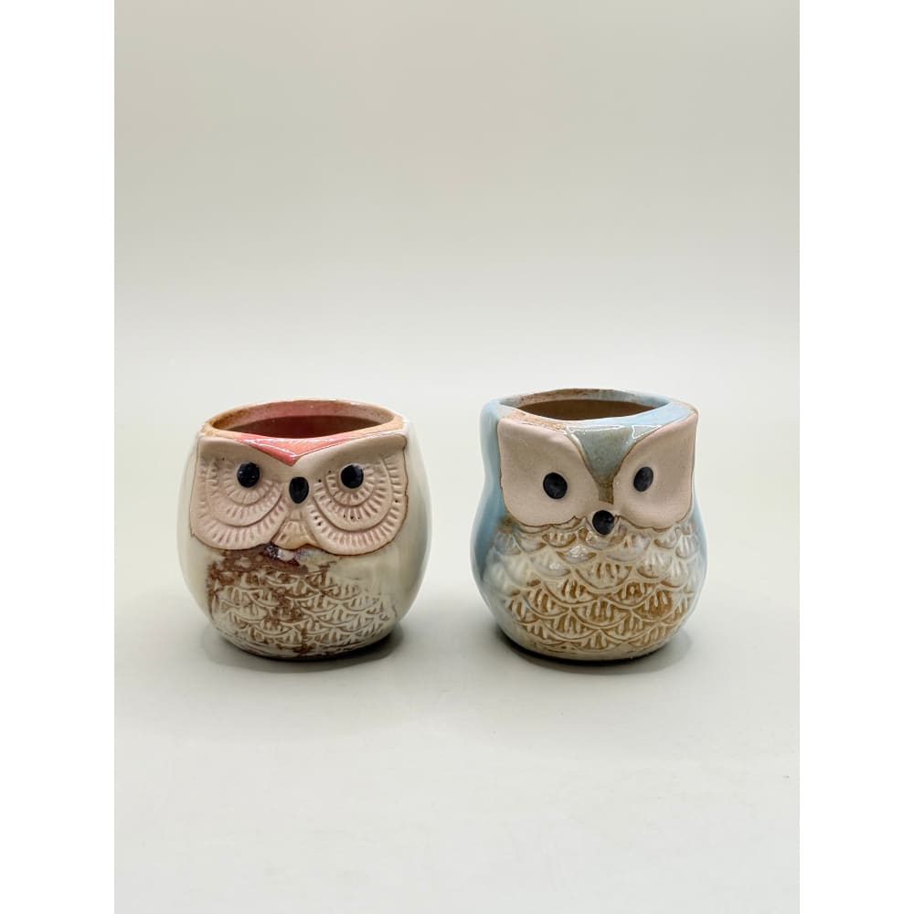 Set of 2 small whimsical owl succulent planter set - planters home&living materials