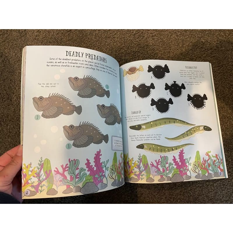Brand new wonders of nature activity book - print books activity book - book - children’s printed media