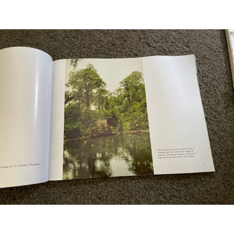 The wilda of east java - print books book - condition: used - history printed media