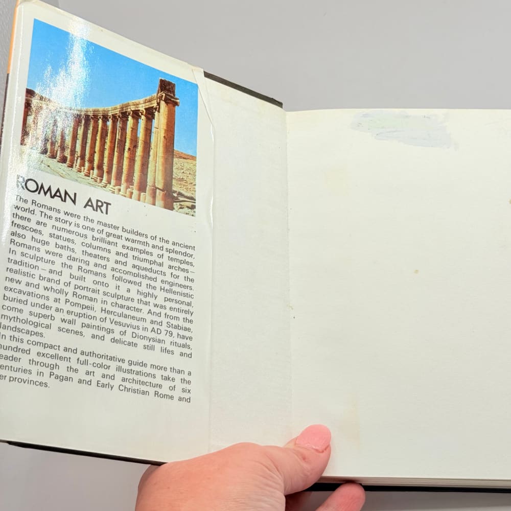 Roman art abbate francesco - print books condition: used - what’s new printed media