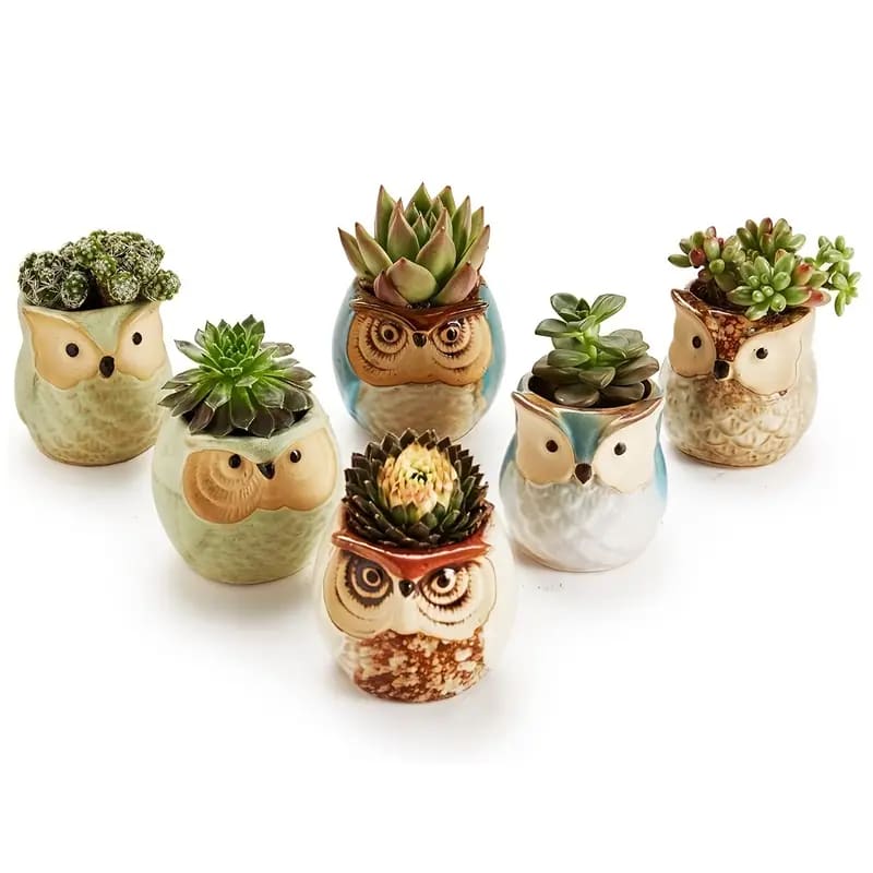 6 pc set ceramic owl pots - pots home&living materials